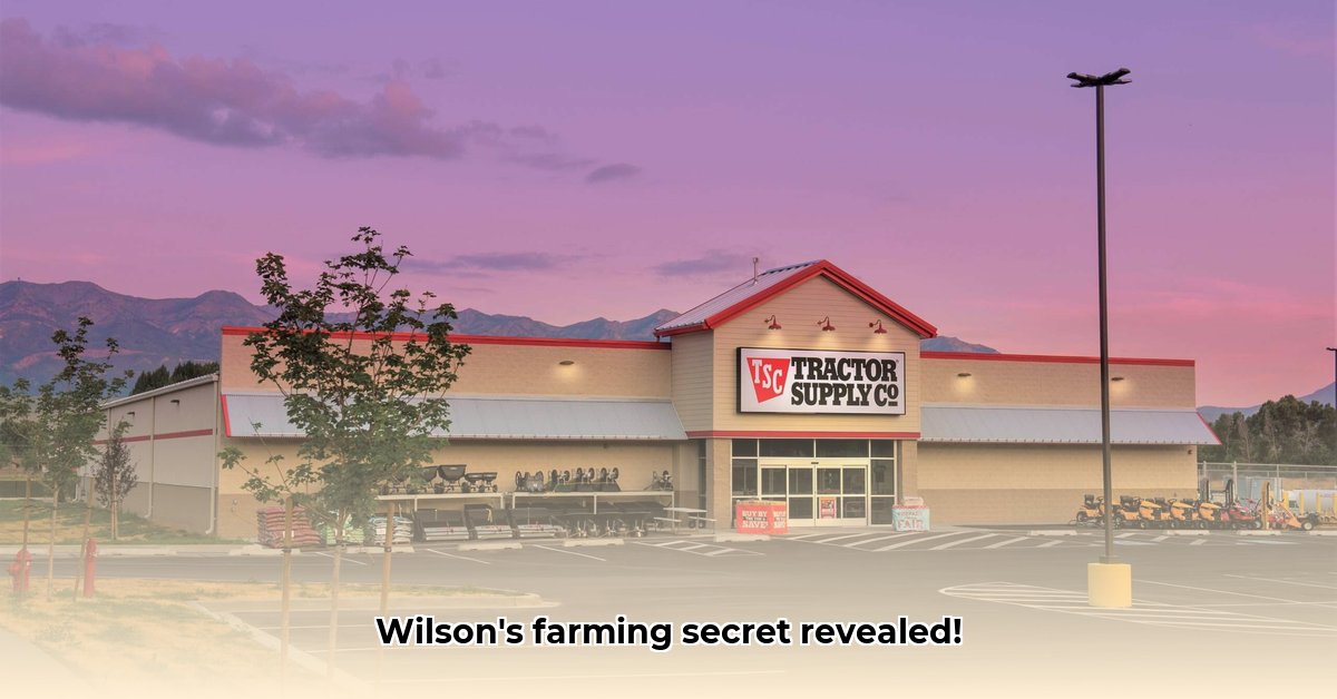 tractor-supply-in-wilson